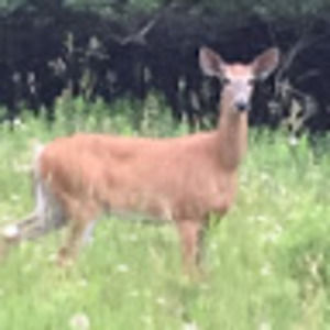 Meet your Posher, Victoria